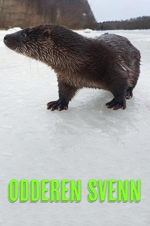 Oteren Svenn poster
