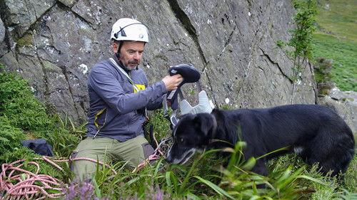 Background image for Community