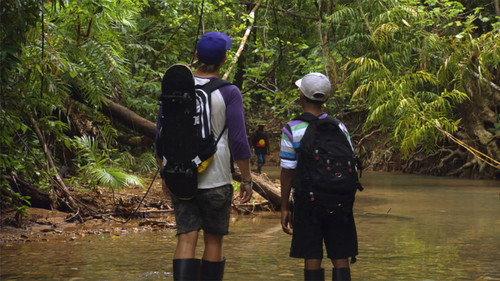 Bushwhacked! Season 1 Episode 4 - Cassowary