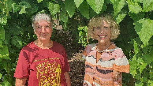 Gardeners' World Season 59 Episode 3 - Episode 3