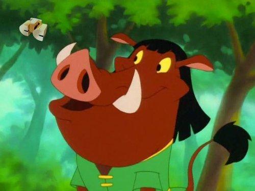 Timon and Pumbaa Season 3 Episode 15 - I Think I Canada