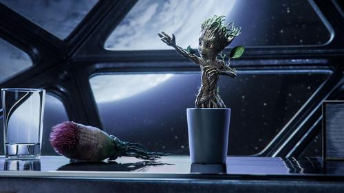 undefined Season 1 Episode 1 - Groot's First Steps
