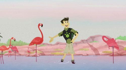 Wild Kratts Season 6 Episode 1 - Mystery of the Flamingo's Pink