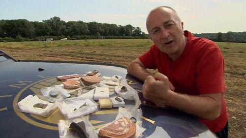 Time Team Season 16 Episode 8 - Mystery of the Ice Cream Villa - Colworth, Bedfordshire