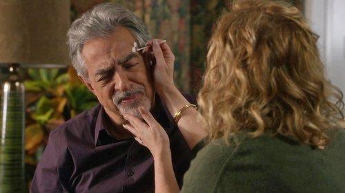 Criminal Minds Season 14 Episode 13 - Chameleon