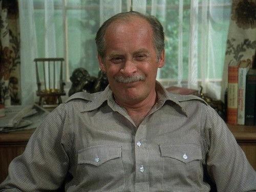 Eight Is Enough Season 2 Episode 1 - Is There a Doctor in the House?