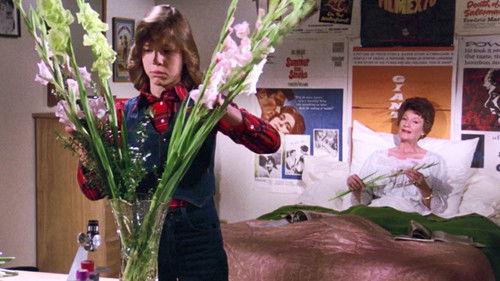 Background image for Comings and Goings