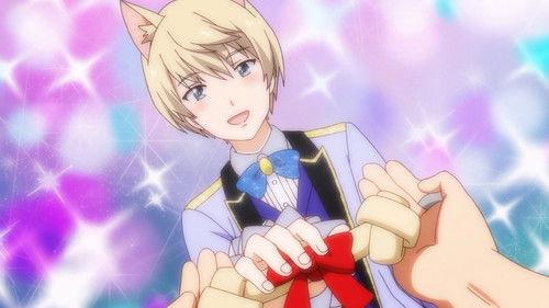 Uchitama?! Have You Seen My Tama? Season 1 Episode 19 - Cat Cafe Violet