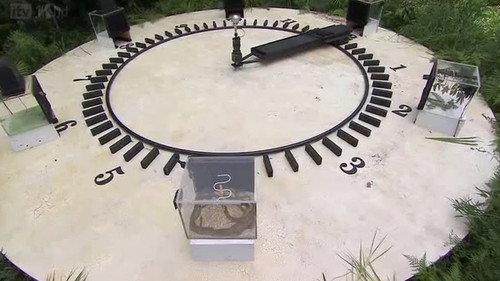 I'm a Celebrity...Get Me Out of Here! Season 11 Episode 16 - Race Around the Clock