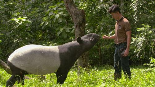 72 Cutest Animals Season 1 Episode 7 - Weird and Wonderful