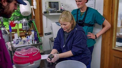 Joanna Page's Wild Life Season 1 Episode 4 - Episode 4