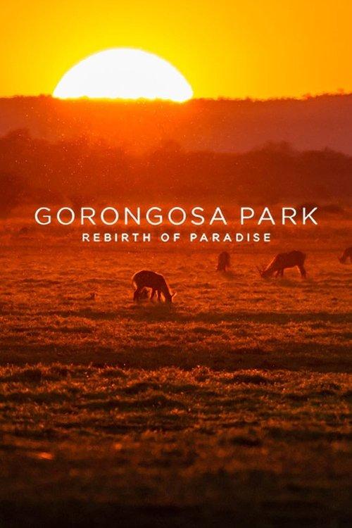 Gorongosa Park: Rebirth of Paradise poster