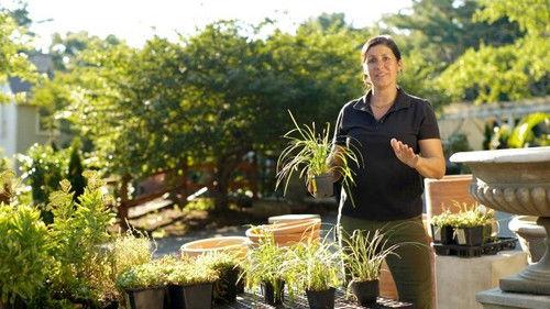 Ask This Old House Season 20 Episode 3 - Hole Patches; Threshold Repair