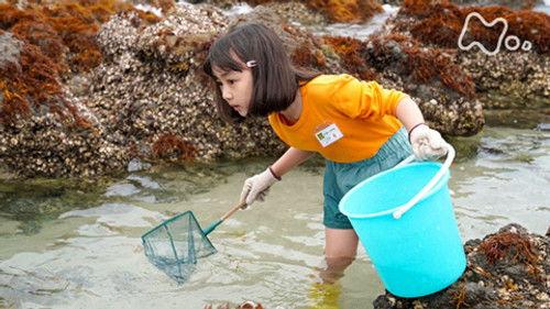 Soar High! Season 1 Episode 5 - Episode 5