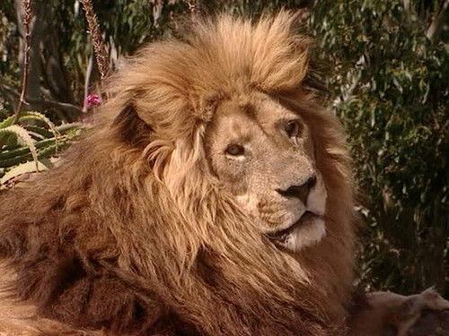 The Tribe Season 5 Episode 22 - Episode 22