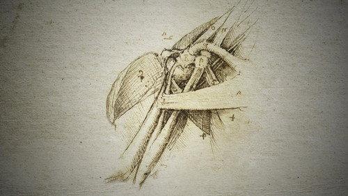 NOVA Season 46 Episode 21 - Decoding Da Vinci