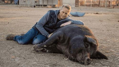 Making Good Season 5 Episode 10 - Windy's Ranch and Rescue