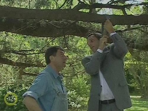Wild Angel Season 1 Episode 252 - Episode 252