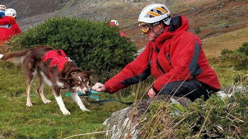 Background image for A Fortunate Coincidence