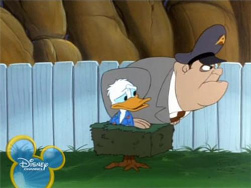 Quack Pack Season 1 Episode 15 - Unusual Suspects