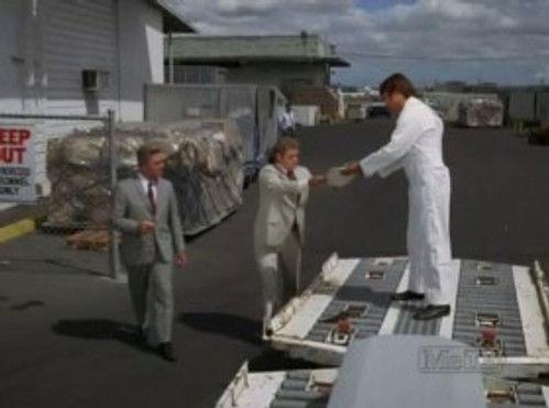 Hawaii Five-O Season 4 Episode 7 - Air Cargo -- Dial For Murder