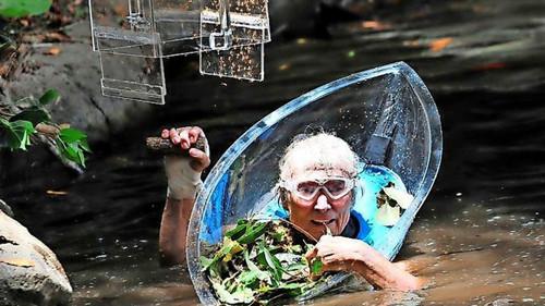 Ich bin ein Star – Holt mich hier raus! Season 13 Episode 12 - Tag 12: "Graus am See"