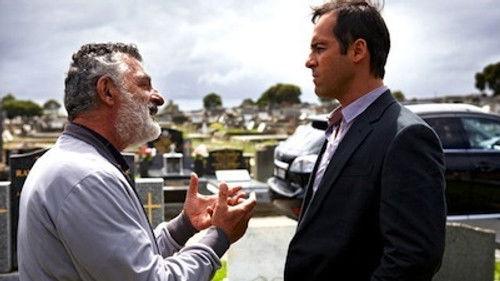 The Slap Season 1 Episode 3 - Harry