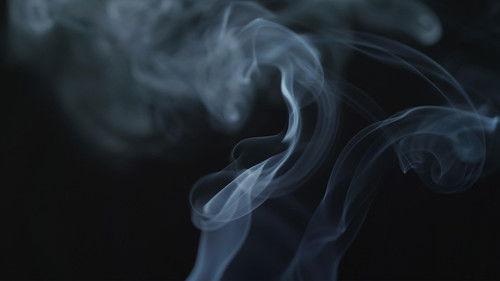 NOVA Season 48 Episode 13 - The Cannabis Question