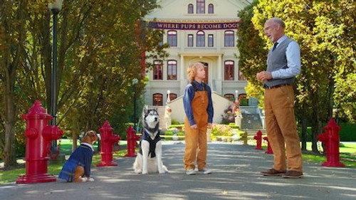 Pup Academy Season 1 Episode 12 - The Thing with King