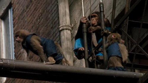 CHiPs Season 5 Episode 23 - Trained for Trouble