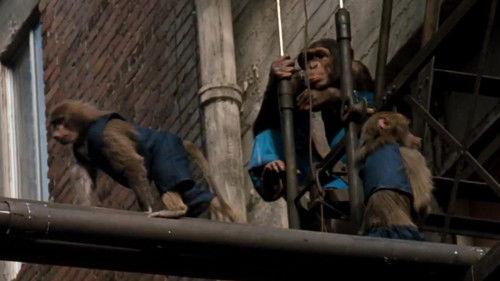 CHiPs Season 5 Episode 23 - Trained for Trouble