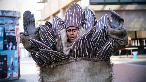 Ronny Chieng: International Student Season 1 Episode 3 - Clash! Ronny vs Instructions! Obey?