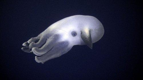 undefined Season 1 Episode 11 - Ocean Deep