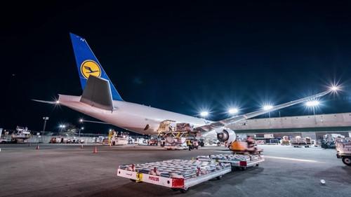 To Catch a Smuggler Season 3 Episode 3 - Bunked in a Trunk