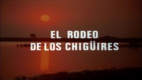 El hombre y la Tierra Season 1 Episode 4 - Episode 4