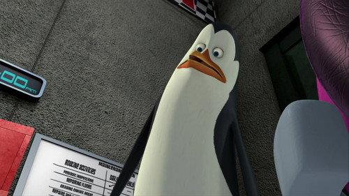 The Penguins of Madagascar Season 3 Episode 3 - The Otter Woman