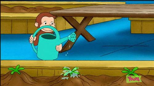 Curious George Season 3 Episode 16 - Seed Trouble