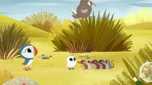 Puffin Rock Season 1 Episode 30 - Flying High