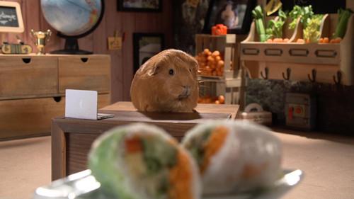 Cochon dingue Season 2 Episode 6 - Episode 6