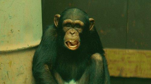 Big Time in Hollywood, Fl Season 1 Episode 8 - Monkey Largo