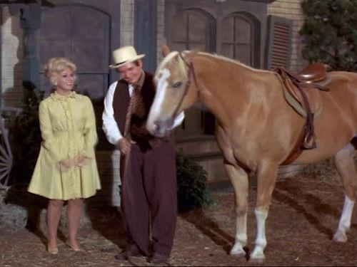 Green Acres Season 4 Episode 13 - The Birthday Gift
