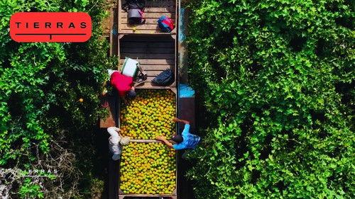 Proyecto Tierras Season 4 Episode 4 - Episode 4