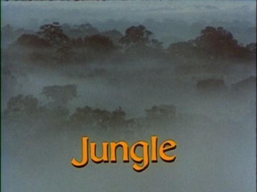 The Living Planet Season 1 Episode 4 - Jungle