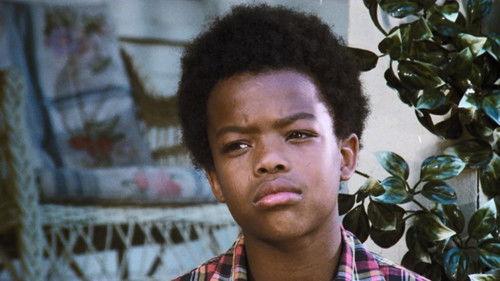 The Waltons Season 6 Episode 2 - The Stray