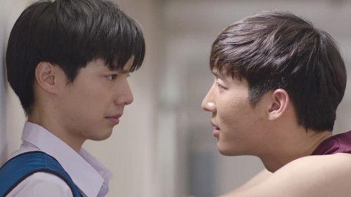 The Miracle of Teddy Bear Season 1 Episode 10 - Episode 10