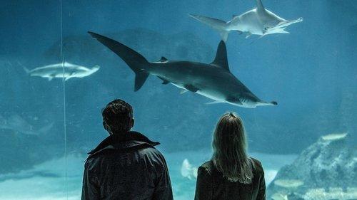 The Bridge Season 4 Episode 5 - Episode 5