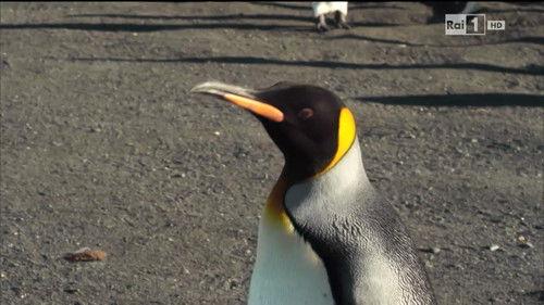 Superquark Season 20 Episode 8 - Episode 8