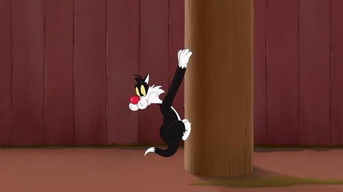 Looney Tunes Cartoons Season 2 Episode 5 - Shrinking Telephone Pole