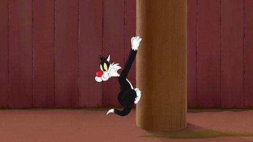 Looney Tunes Cartoons Season 2 Episode 5 - Shrinking Telephone Pole