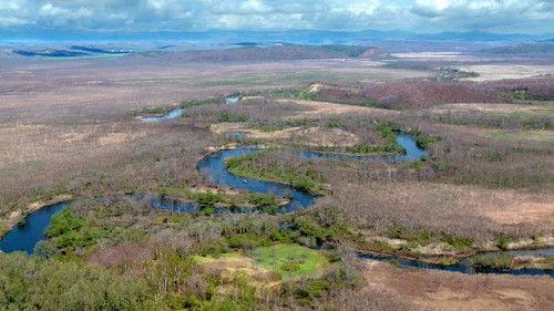 Wild Hokkaido! Season 2 Episode 16 - Kushiro River